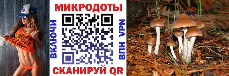 как найти закладки  Заволжье  Галлюциногенные грибы ЛСД 