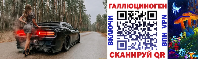 Галлюциногенные грибы Psilocybe Заволжье